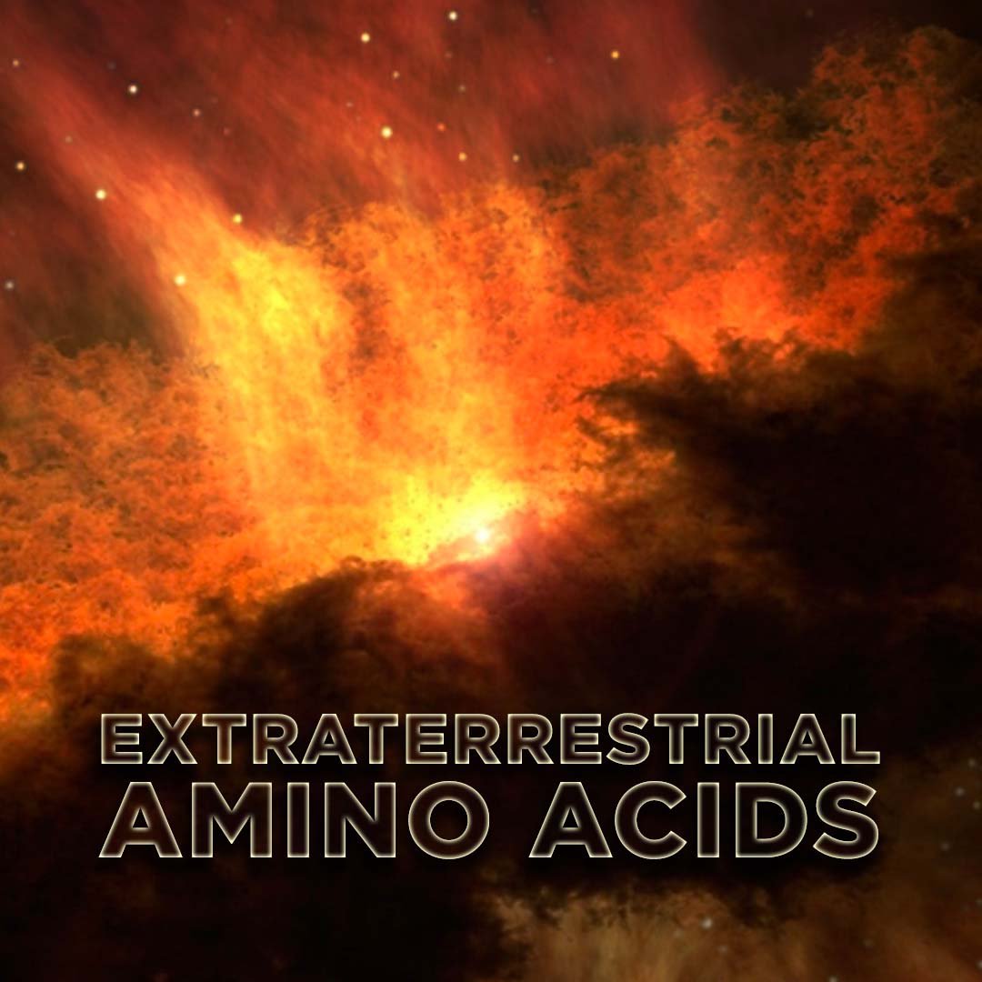 Extraterrestrial Amino Acids - CM2 Carbonaceous Chondrites