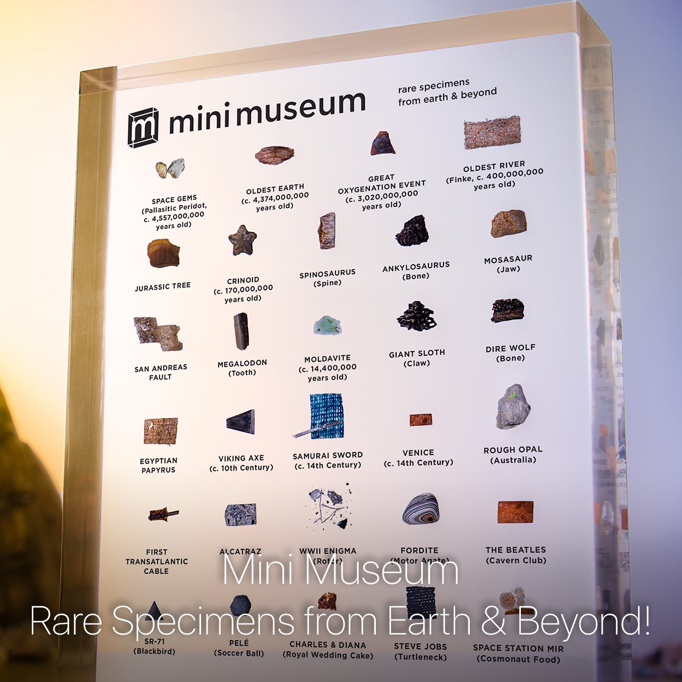 Mini Museum - Share the Universe! Collect Dinosaurs, Meteorites ...