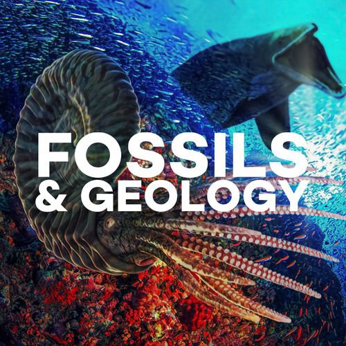 Fossils & Geology