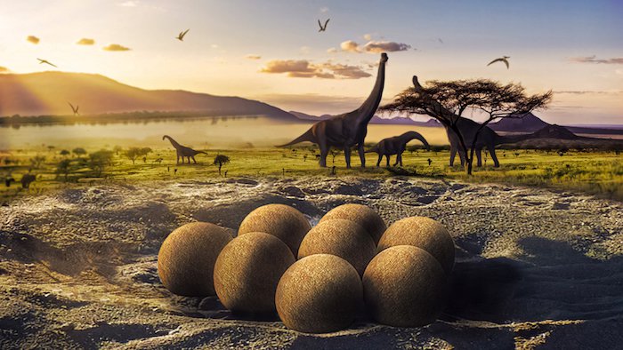 Fifteen Recipes for Preparing Dinosaur Eggs from Age of Dinosaurs
